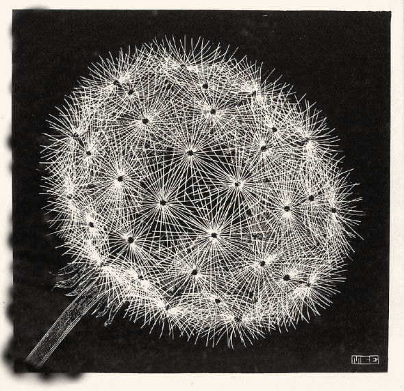 12Maurits Cornelis EscherEmblema XX, Cactus1935Xilografia, 18x14 cmCollezione Federico GiudiceandreaAll M.C. Escher works © 2015 The M.C. EscherCompany. All rights reservedwww.mcescher.com13Maurits CornelisEscherIncontro1944Litografia, 33,5x46,2 cmCollezione Federico GiudiceandreaAll M.C. Escher works © 2015 The M.C. EscherCompany. All rights reservedwww.mcescher.com14