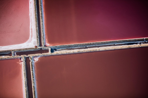 Massimo Sestini- ArtsLife