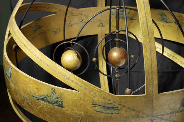 anatomia animali 016