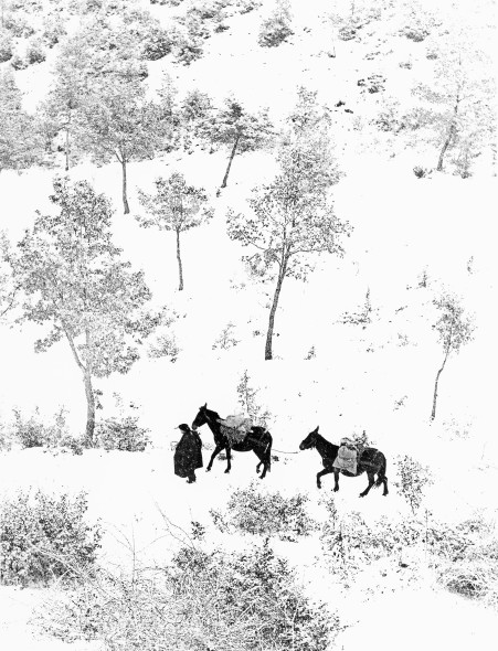 Fulvio Roiter- ArtsLife