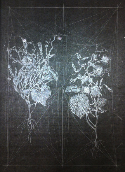 Fabrizio Cotognini, Silence (a Giorgio), 2012, lightbox e incisione su carta emulsionata, 56x76x12 cm