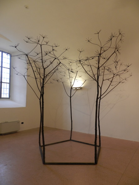 Valentini_Campo di stelle