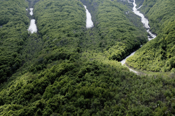 dal progetto Disappeared