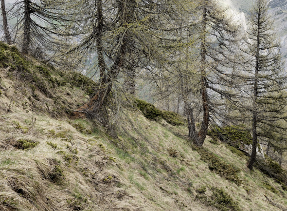 dal progetto Disappeared