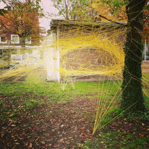 001-Ines Fiegert -Space as an Organism