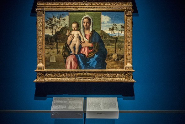 Il nuovo allestimento della Pinacoteca di Brera: Madonna con il Bambino, Giovanni Bellini, sala 7 © James O’Mara
