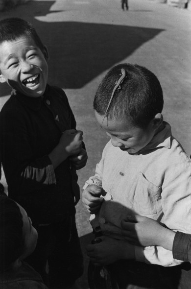 Domon Ken Lucertola, 1955 dalla serie I bambini di Kōtō (Kōtō no kodomotachi) Tokyo 457 x 560 mm. Ken Domon Museum of Photography