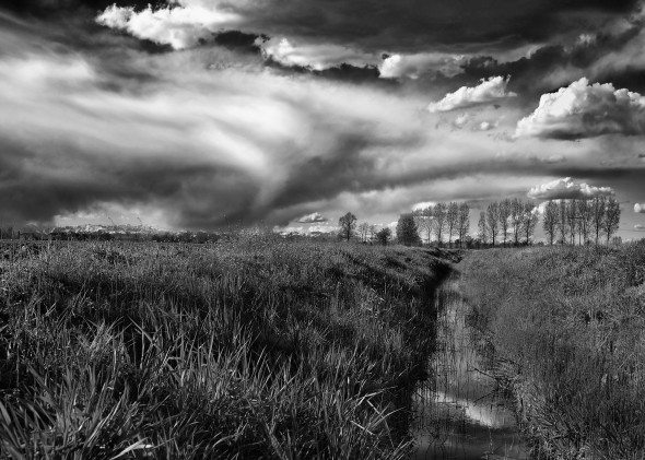 VASSALLI-BESANA MUOVIAMOCI 001