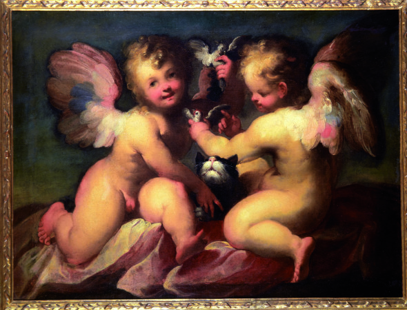Valerio Castello  Putti con gattino