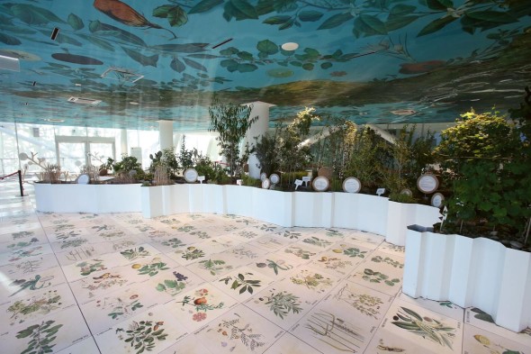 Vivaio Italia Il giardino di piante curato dall'Orto Botanico di Padova, celebrazione della grande biodiversità italiana. Biodiversità di colture e culture, figlia di una continua migrazione di persone, essenze e semi (la biogeografia), che ha generato la straordinaria unicità del nostro territorio e dei nostri prodotti alimentari Crediti fotografici: Photoviews Mourad Balti Touati 