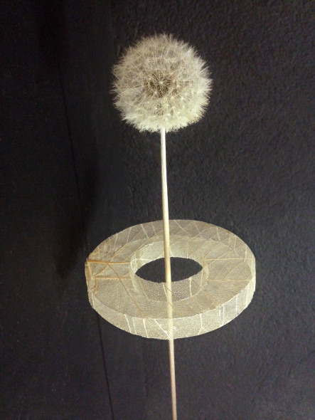 1_LorMa_Imput_tarassaco-e-gelso_72x41cm_2016-443x590