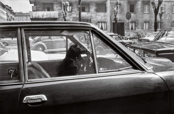 Sergio Magni in mostra