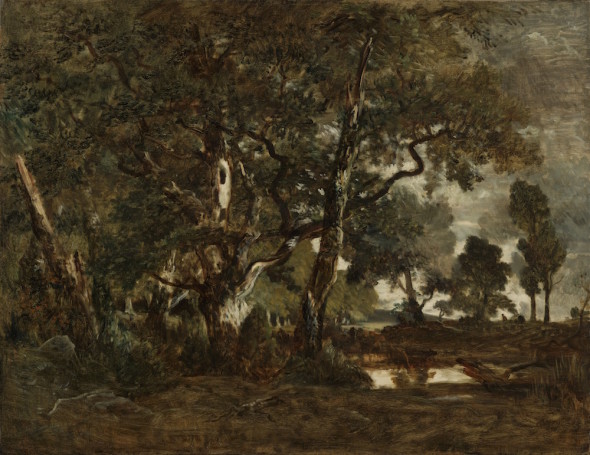 Forest of Fontainebleau, Cluster of Tall Trees Overlooking the Plain of Clair-Bois at the Edge of Bas-Bréau, c. 1849-52 Fontainebleauskoven, engruppehøjetræerved Clair-Bois-sletteniudkantenaf Bas-Bréau, ca. 1849-52 Oil on canvas / Oliepålærred 90.8 × 116.8 cm  The J. Paul Getty Museum, Los Angeles, 2007.13