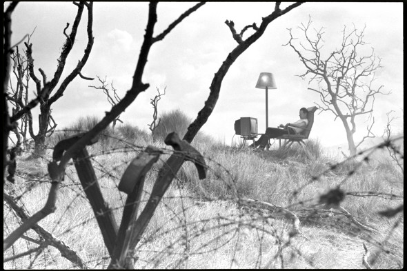 Bob Geldof seduto… comfortably numb