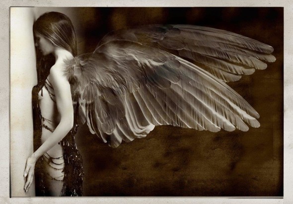 angeli-caduti_2015_01