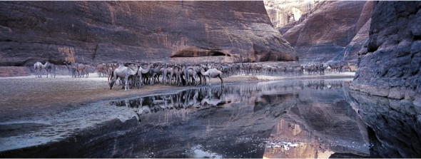 calendario-epson-2017-andrea-pistolesi-08-agosto