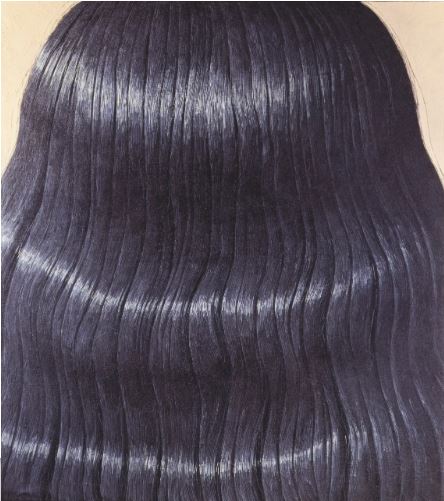 Domenico Gnoli Black Hair, 1969 Private Collection Image: © Bridgeman ImagesArtwork: © Domenico Gnoli, SIAE / DACS, London 2015 - See more at: http://www.artslife.com/2015/06/22/scarpa-vista-da-dietro-il-dettaglio-che-conta-nellarte-di-gnoli/#sthash.CajihLFj.dpuf
