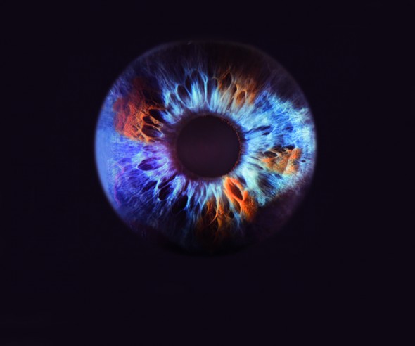 close-up-suren-manvelyan