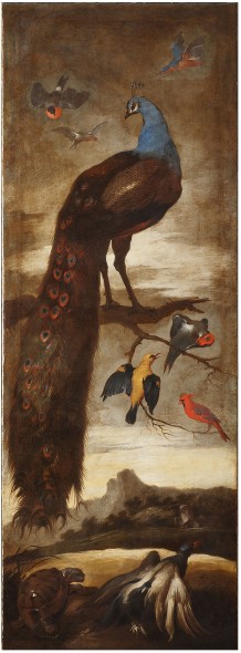 Sinibaldo Scorza: Albero con grande pavone e altri uccelli.  Genova,  Palazzo della Meridiana