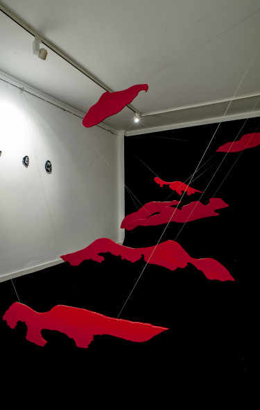 7. Allegra betti van der Noot - Act II_Retinal Image 12 - pic by Giuseppe Basile