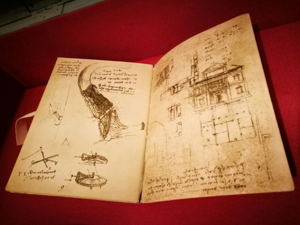 ​Il Codice sul Volo di Leonardo