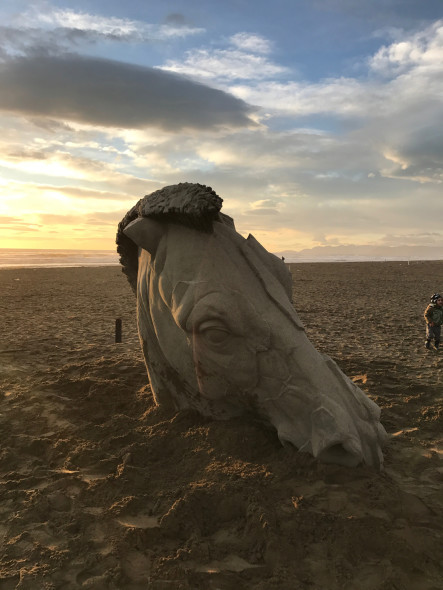 I cavalli spiaggiati di Aceves