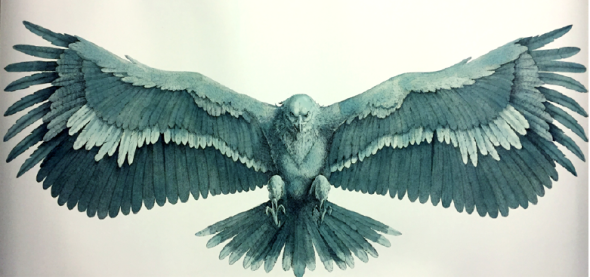 schermata-2017-02-02-alle-08-52-58