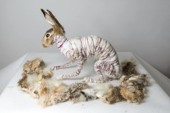 Circulation(s) Parigi