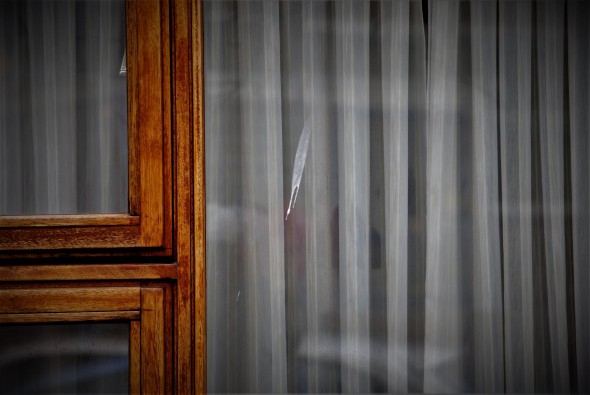 Greta Ilia Cavaliere