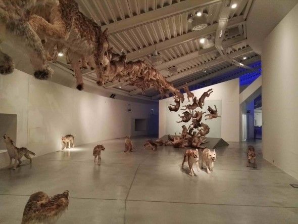 Cai Guo-Qiang, Head On, 2014. Courtesy Deutsche Bank Collection