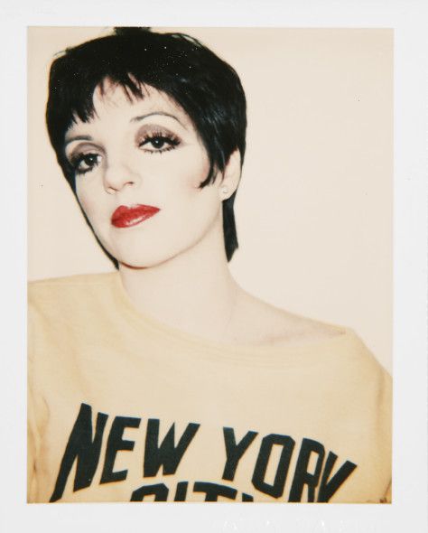liza minnelli andy warhol