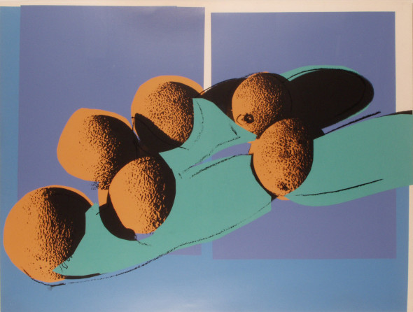 Andy Warhol, Space Fruit-Cantaloupe I, 1978, Gallery Hotel Art Firenze