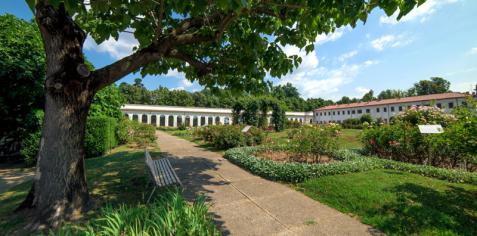 Serrone della Reggia di Monza Biennale Giovani