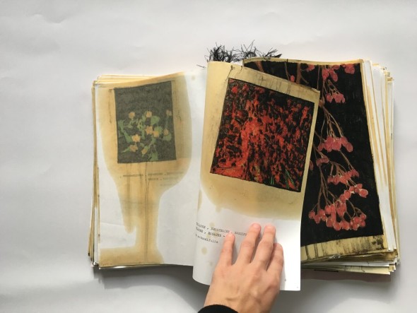 Elena Hamerski, Piante medicinali e velenose, libro Biennale Giovani Monza