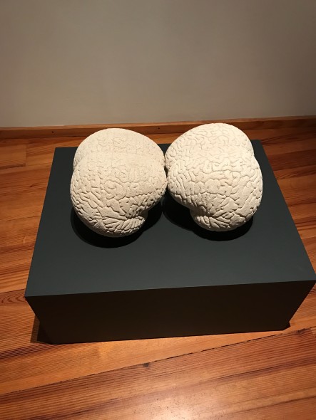 Claudia Losi, Brain, 2008 mostra mendrisio scultura contemporanea metamorfosi