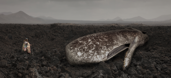 Matteo Basilé, Viaggio al Centro della Terra Galleria Pack mostra Spazio 22