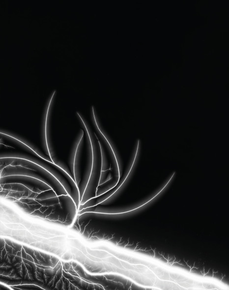 Hiroshi Sugimoto (1948), Lightning Fields 289, 2014, stampa alla gelatina ai sali d’argento, 27,5 x 37,2 cm, edizione 8 di 25, opera accompagnata dal volume The Long Never firmato e numerato, base d’asta € 7.000 – 8.000