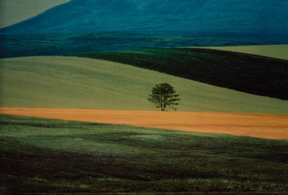 Franco Fontana (1938), Paesaggio, 1978, C-print, 48,5 x 60,5 cm, base d’asta € 1.500 – 2.500