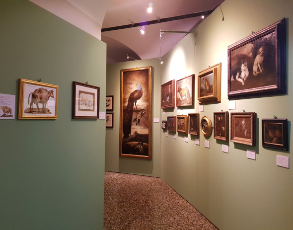 Mostra Sinibaldo Scorza Palazzo della Meridiana Genova