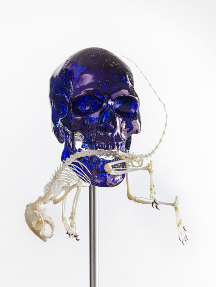 Jan Fabre. Glass and Bone Sculptures 1977-2017, Venezia
