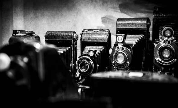 28022017-pad6_stand_i056_nipper_alfonso_mignoli-20