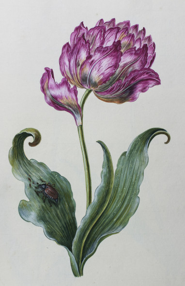 3_anti1472017t9339-666