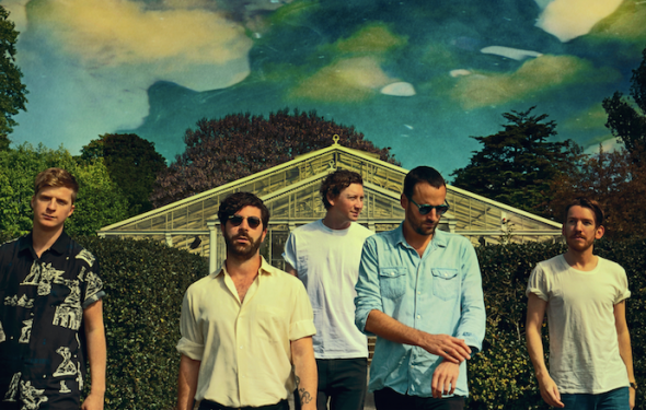 MAGNOLIA ESTATE  foals1-jpg