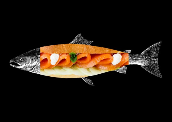 panino_sfondo_nero_lr