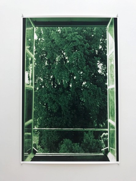 WF, tree filling window (2002)