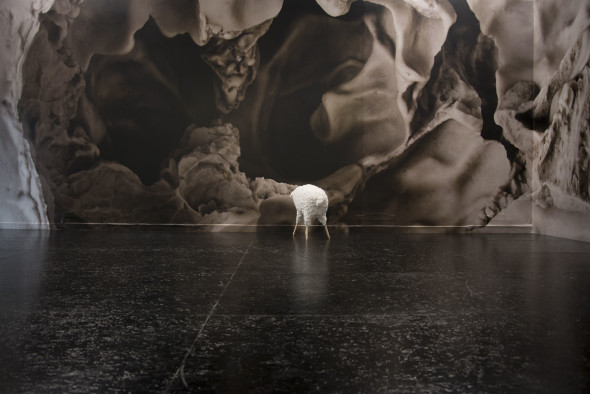 Alis/Filliol Ultraterra, 2016 Materiali vari / dimensioni variabili fotografie di Alice Moschin