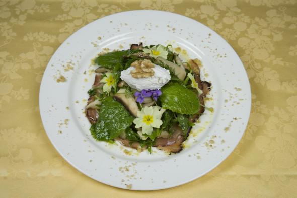 becco-civetta-piatto-con-le-erbe