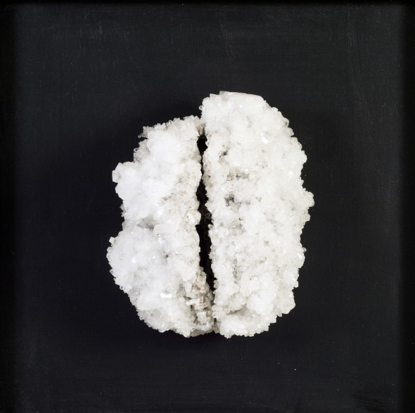 Francesca Romana Pinzari, Brain, 2016, cristalli di solfato di magnesio su struttura metallica, cm 50x50x20. Ph Andrea Veneri