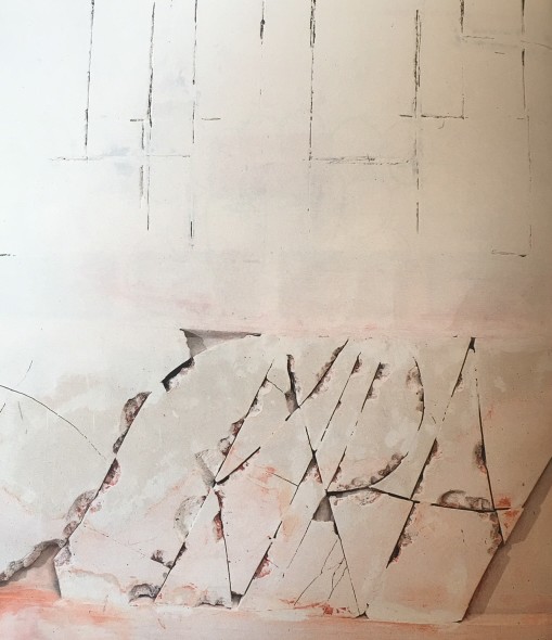 skira-vitta-zelman-2