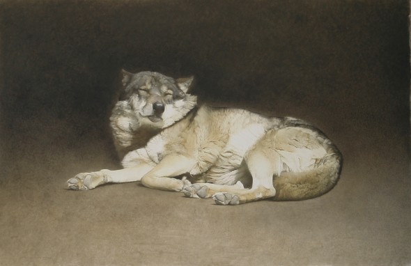 Tamer_2012_in aliis lupus_acquerello a dry brush_cm 87,5 x 134,5